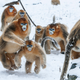 Illustration for article titled Wildlife Photo Contest Shows Nature Can Be Cruel—But Also Kind